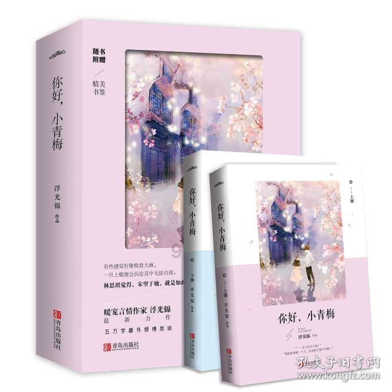 聚焦省两会丨出席省两会的儋州41名代表委员向大会报到